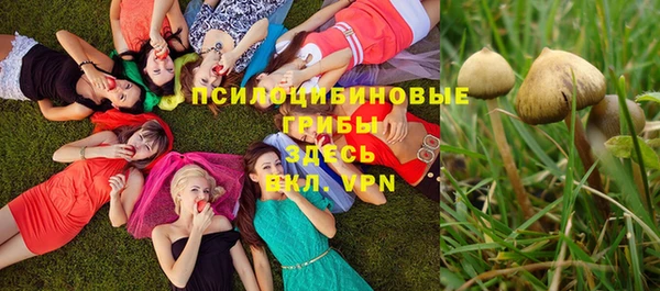 амфетамин Козловка