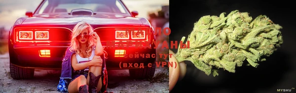 ПСИЛОЦИБИНОВЫЕ ГРИБЫ Козельск
