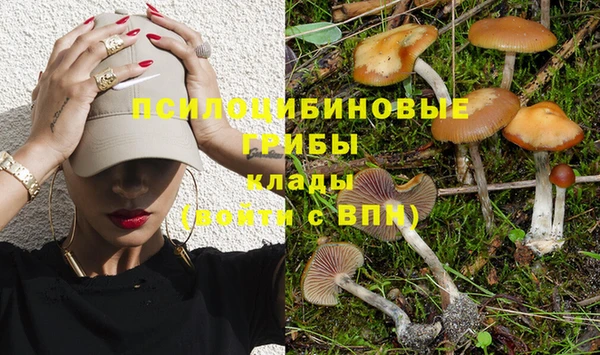 прущий лед Костерёво