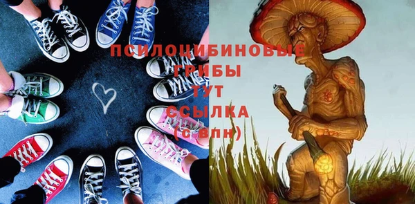 ПСИЛОЦИБИНОВЫЕ ГРИБЫ Козельск