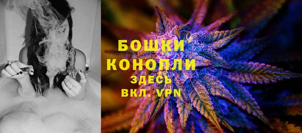 молекула духа Корсаков