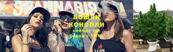прущий лед Костерёво