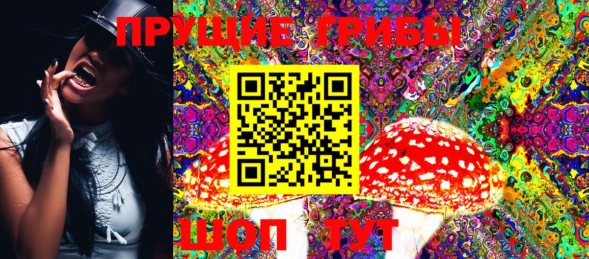 Псилоцибиновые грибы GOLDEN TEACHER  Усть-Кут 