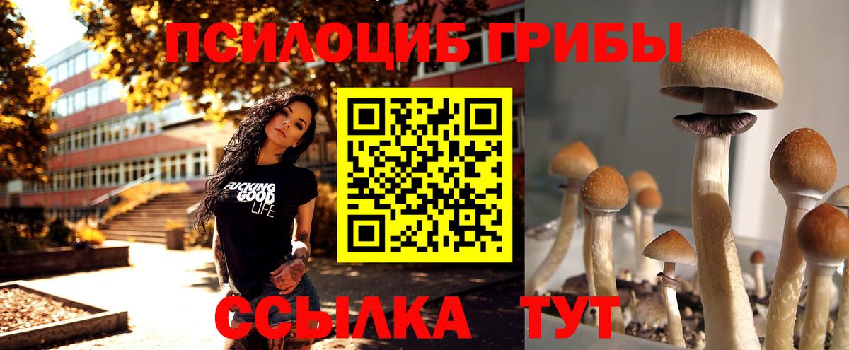 Псилоцибиновые грибы ЛСД Усть-Кут